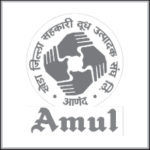 Screenshot 2024-03-12 122519